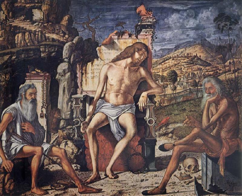 Vittore Carpaccio The Meditaion on the Passing Spain oil painting art
